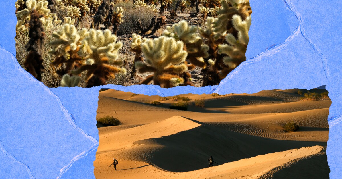 Four desert paths (and strange attractions) to explore now