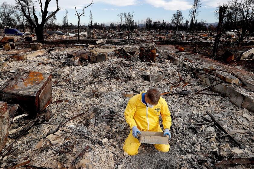 SANTA ROSA, CALIF. - OCT. 20, 2017. Mark Sharp, a resident of Coffey Park, sifts through the remains of his charred home in search of his wife's wedding band on Friday, Oct. 20, 2017. Coffey Park was completely devastated by the Tubbs fire 11 days ago, with many residents fleeing in haste as their homes were enveloped in flames. More than 40 people have died in recent firestorms that swept across Northern California. (Luis Sinco/Los Angeles Times)