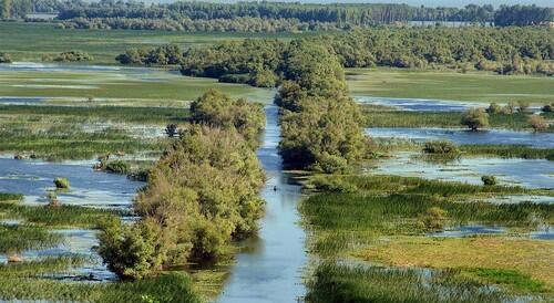A solitary boater enjoys the green and blue beauty of the Danube Delta Reserve in Romania.