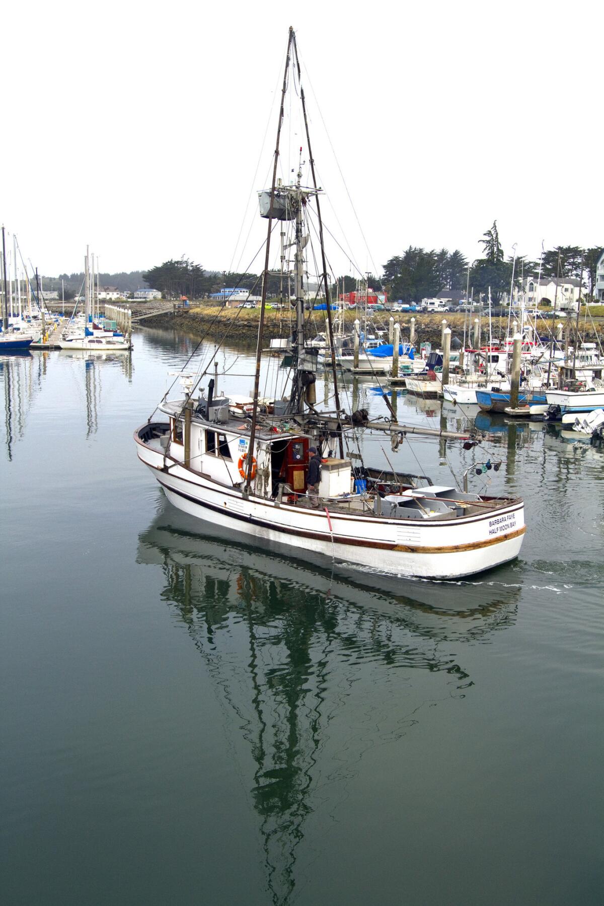 California commercial fishers should not pay less than out-of-state companies, a federal appeals court ruled.