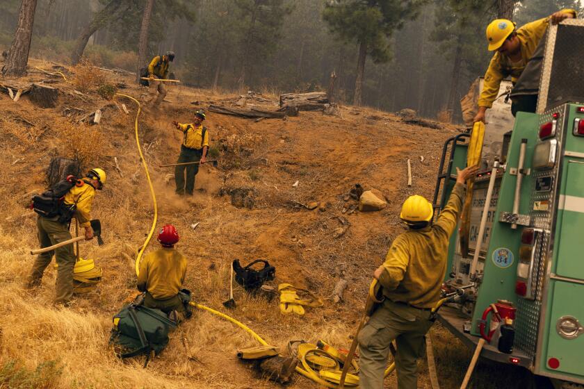 Firefighters with the United States Forest Service Lassen National Forest prepare a hoselay on a hillside during the Park fire near Paynes Creek in Tehama County, Calif., Saturday, July 27, 2024. (Stephen Lam/San Francisco Chronicle via AP)