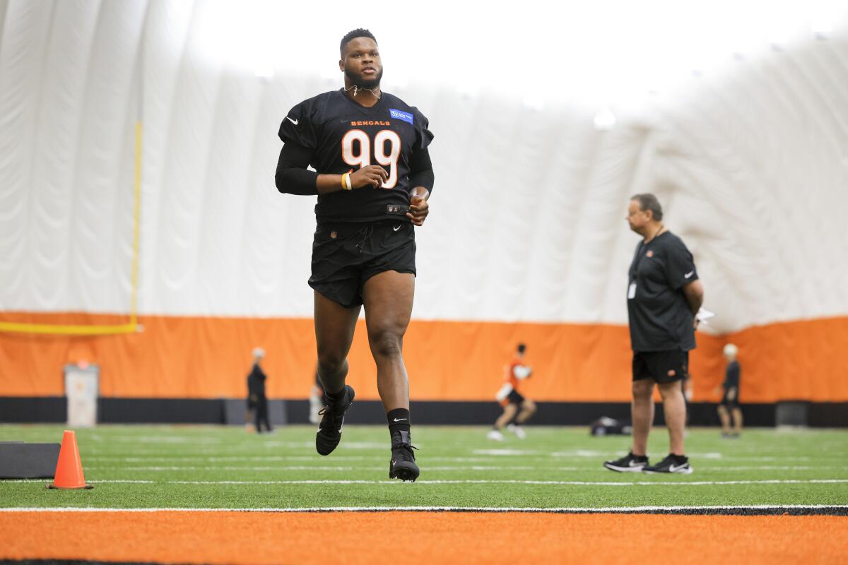 Bengals welcome rookies to begin building new foundation - The San