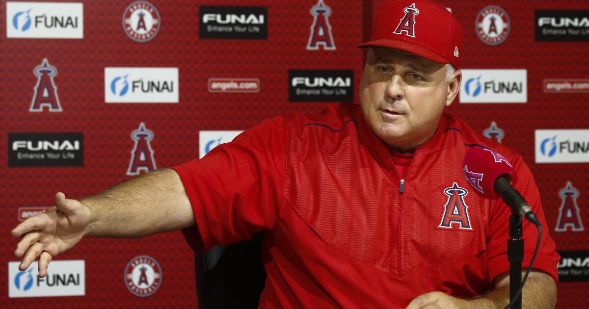 Column: Mike Scioscia will leave the Angels but his toughness will remain  with the organization - Los Angeles Times
