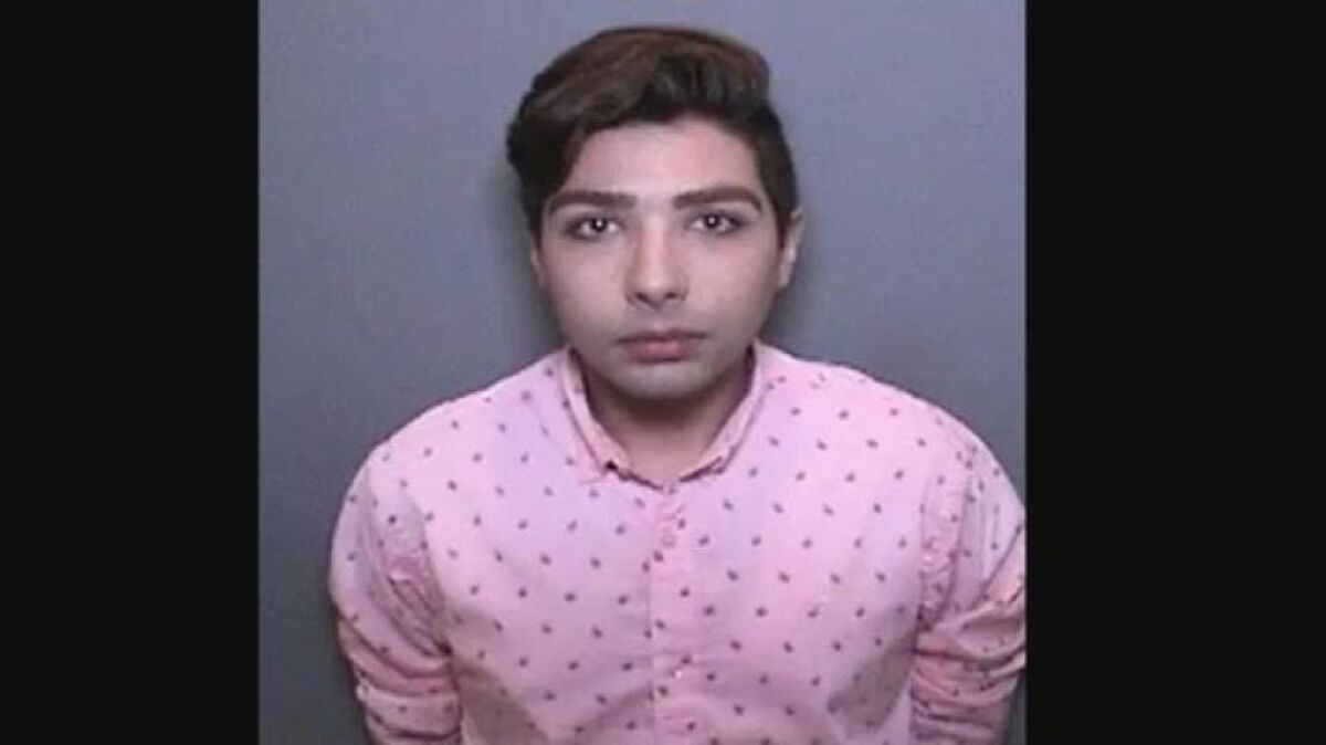 Ariya Ouskouian, 23, of Irvine was sentenced to a year in jail and ordered to perform 150 hours of community service after pleading guilty Wednesday to a misdemeanor count of unauthorized practice of medicine.