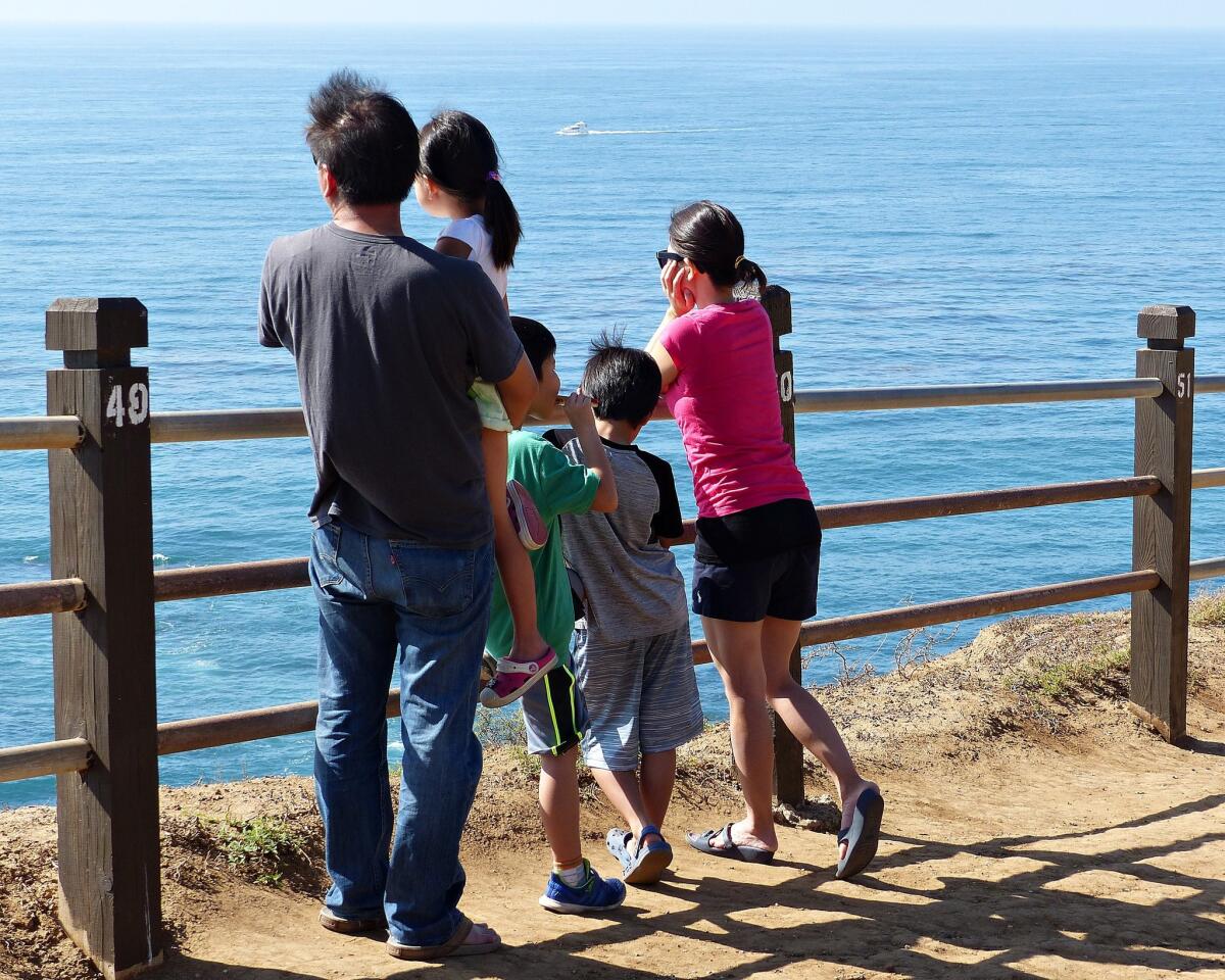 A family observes the ocean activity below.