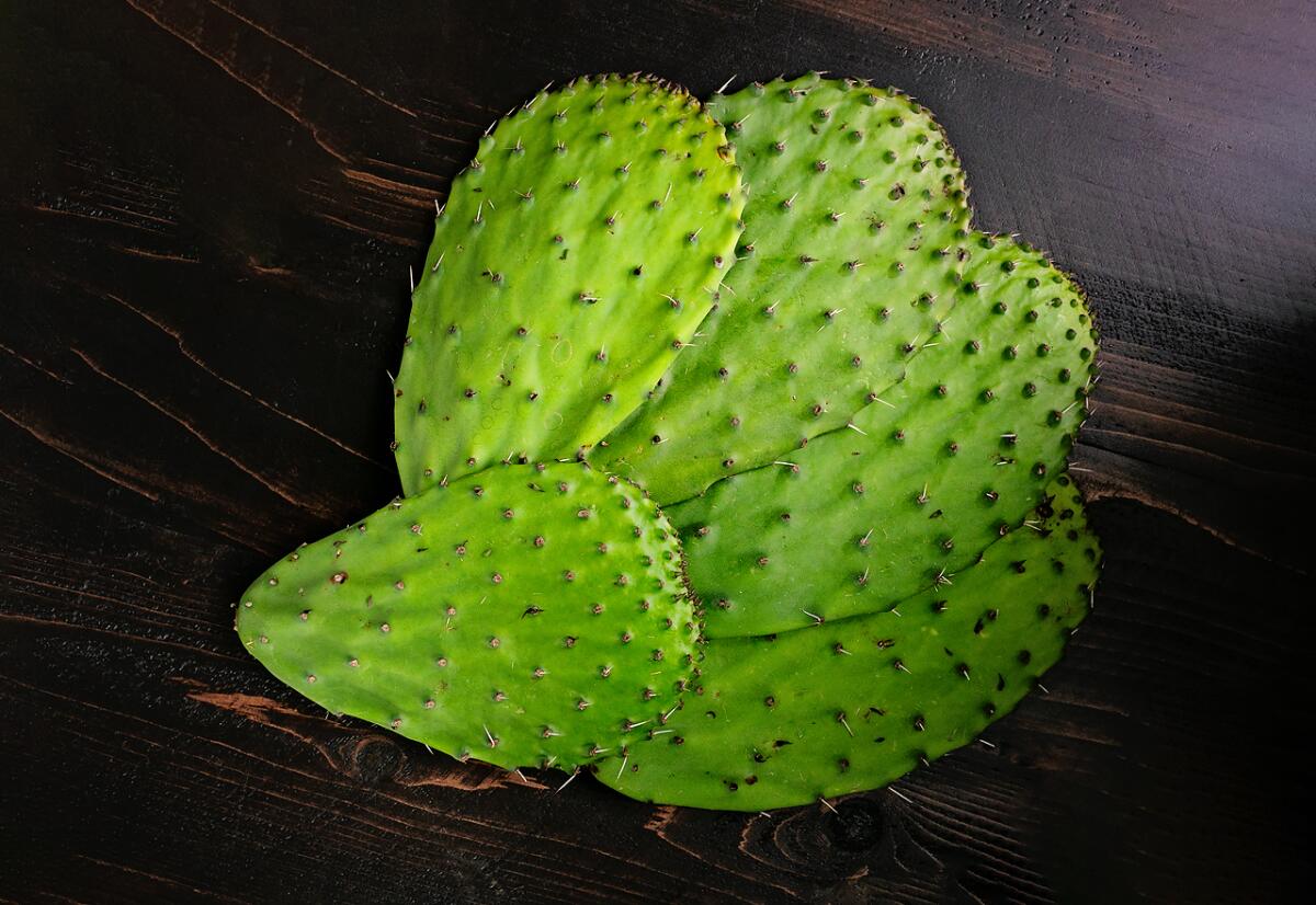 How to peel and cook nopales, the prickly pear cactus