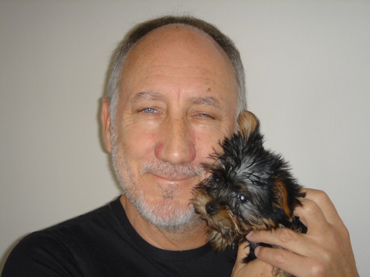 Pete Townshend holds a miniature Yorkie named Wistle up to his face.