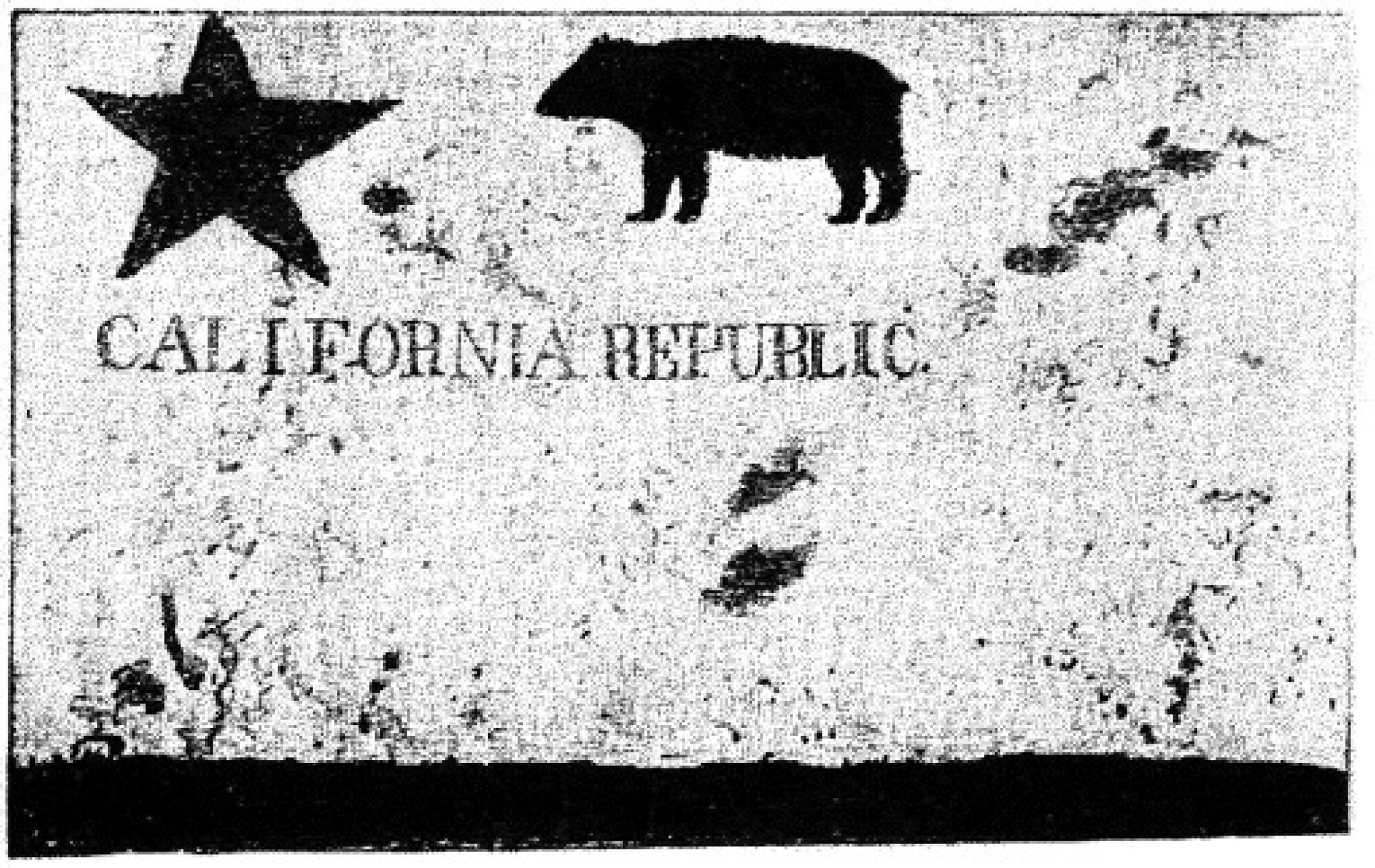 We killed off California’s grizzly bears over a century ago. Can we resurrect them? We killed off California’s grizzly bears over a century ago. Can we resurrect them?
