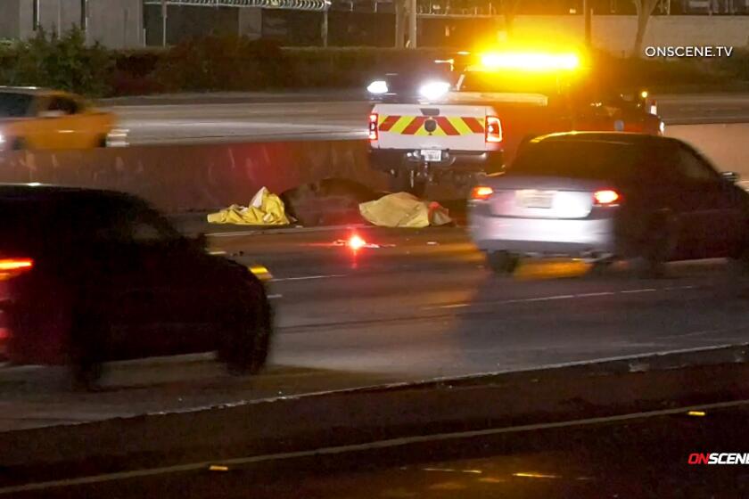 CHP received a call of a horse on the South Bound 605 Fwy walking in lanes and other reports came in that a semi truck had struck and killed the horse and is now laying on the ground in the HOV lane on April 2, 2024 in City of Industry. (ONSCENE.TV)