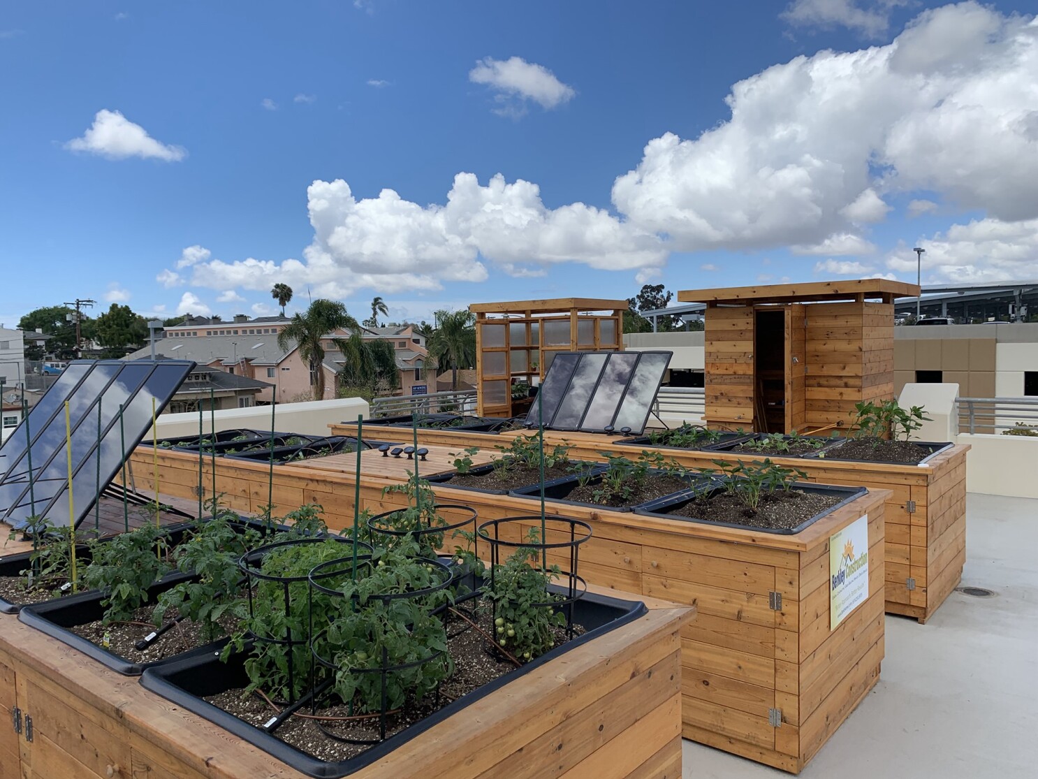 City Heights Ymca Gets 50 000 For Rooftop Health Garden Program