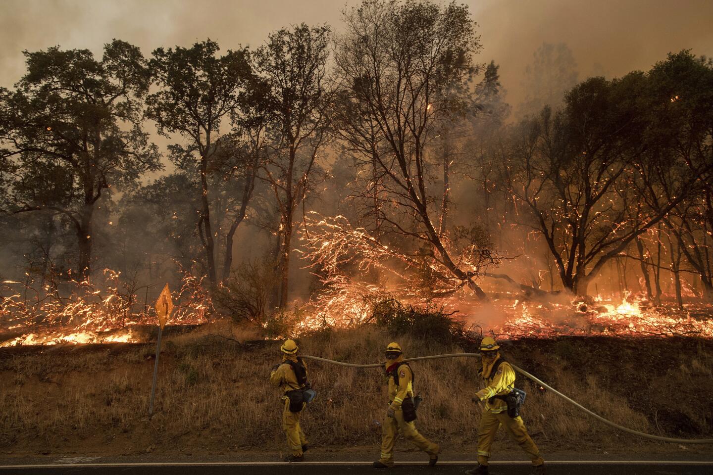 Firefighters battle a wildfire as it threatens to jump a street near Oroville, Calif., on July 8, 2017. Evening winds drove the fire through several neighborhoods leveling homes in its path.