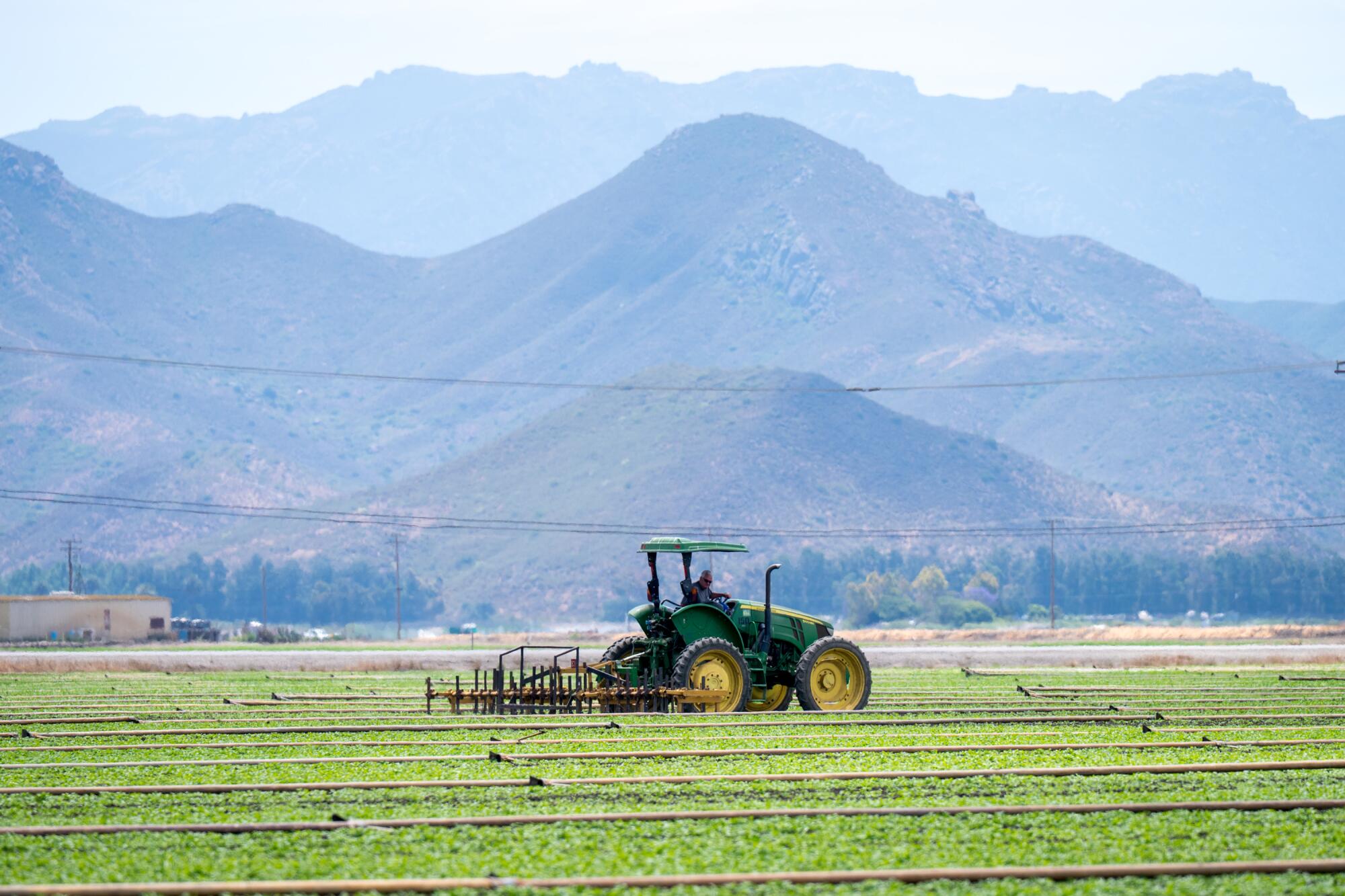 A tractor rumbles through a green field