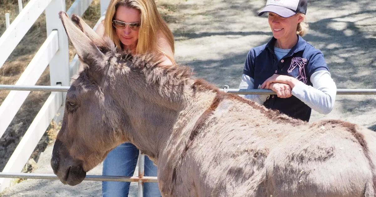 Aug. 3 issue: Local and regional events Aug. 3 issue: Local and regional events