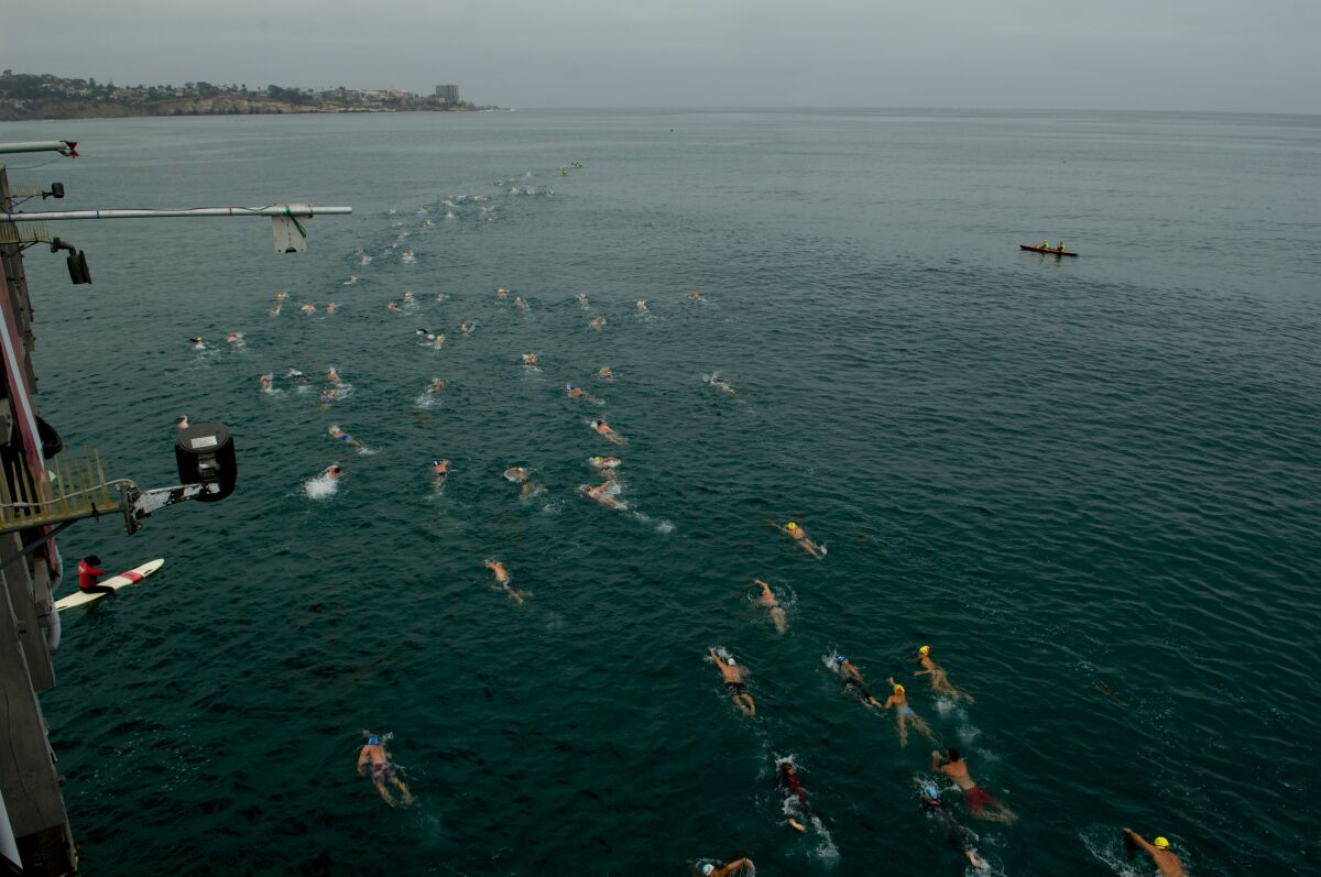 Participants in the Pier to Cove Swim will take on a 1½-mile route from Scripps Pier to La Jolla Cove.