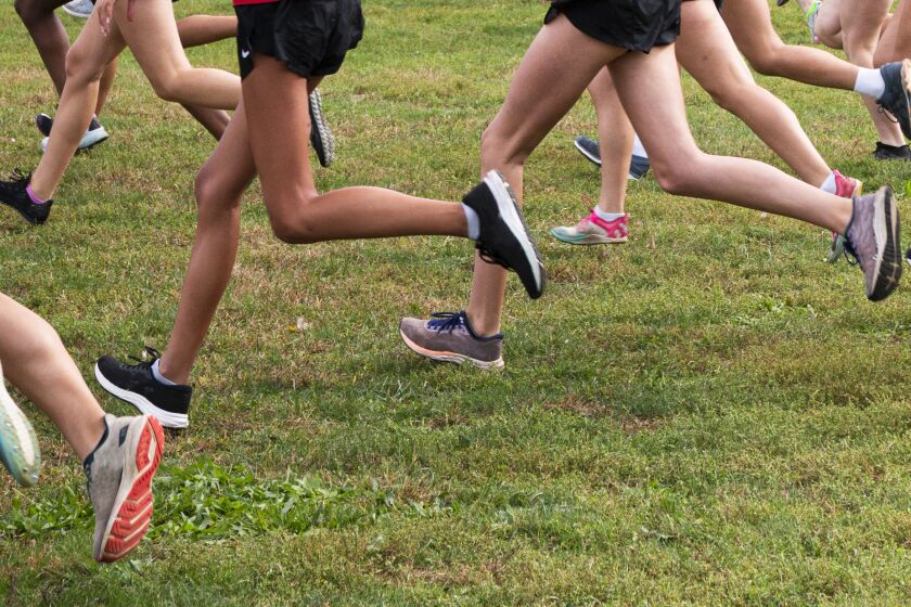 Close up of a side view of the start of a girls high school cross country race on a grass field at Van Cortlandt Park in the Bronx New York.