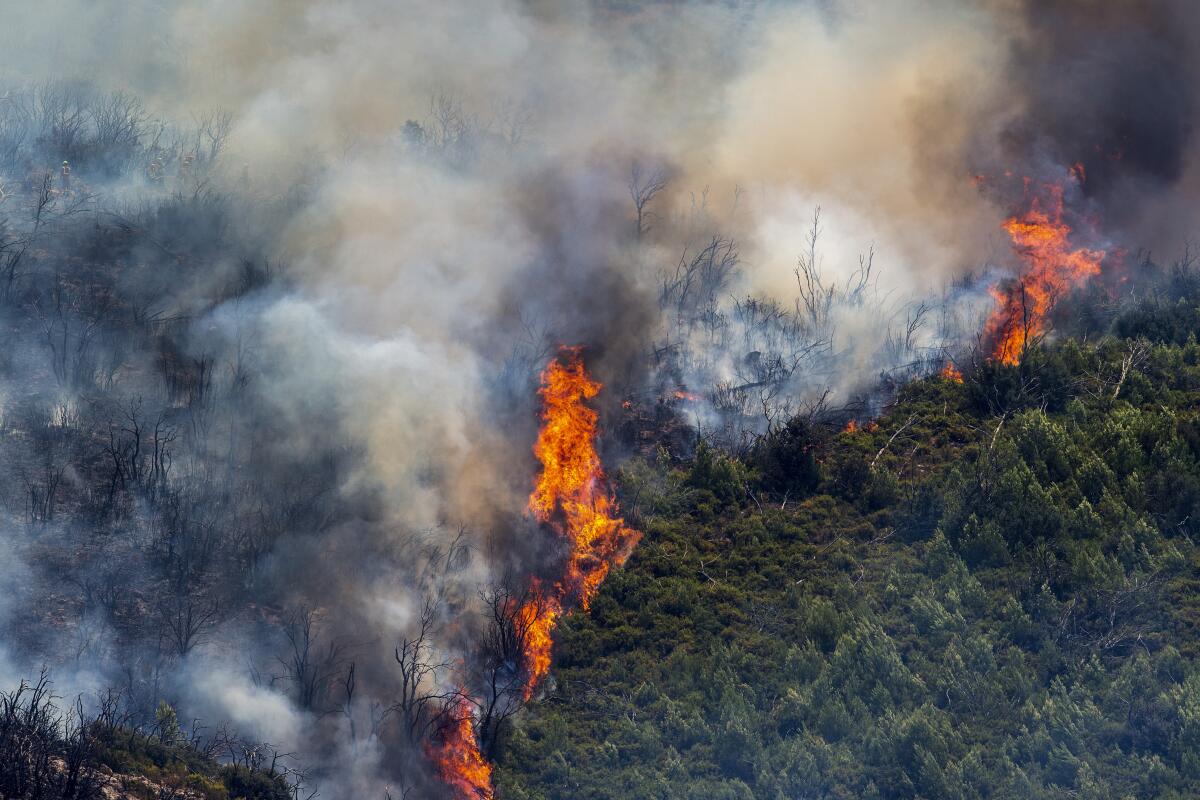 Un incendio forestal arde cerca de Alcublas, en el este de España, el 18 de agosto del 2022.