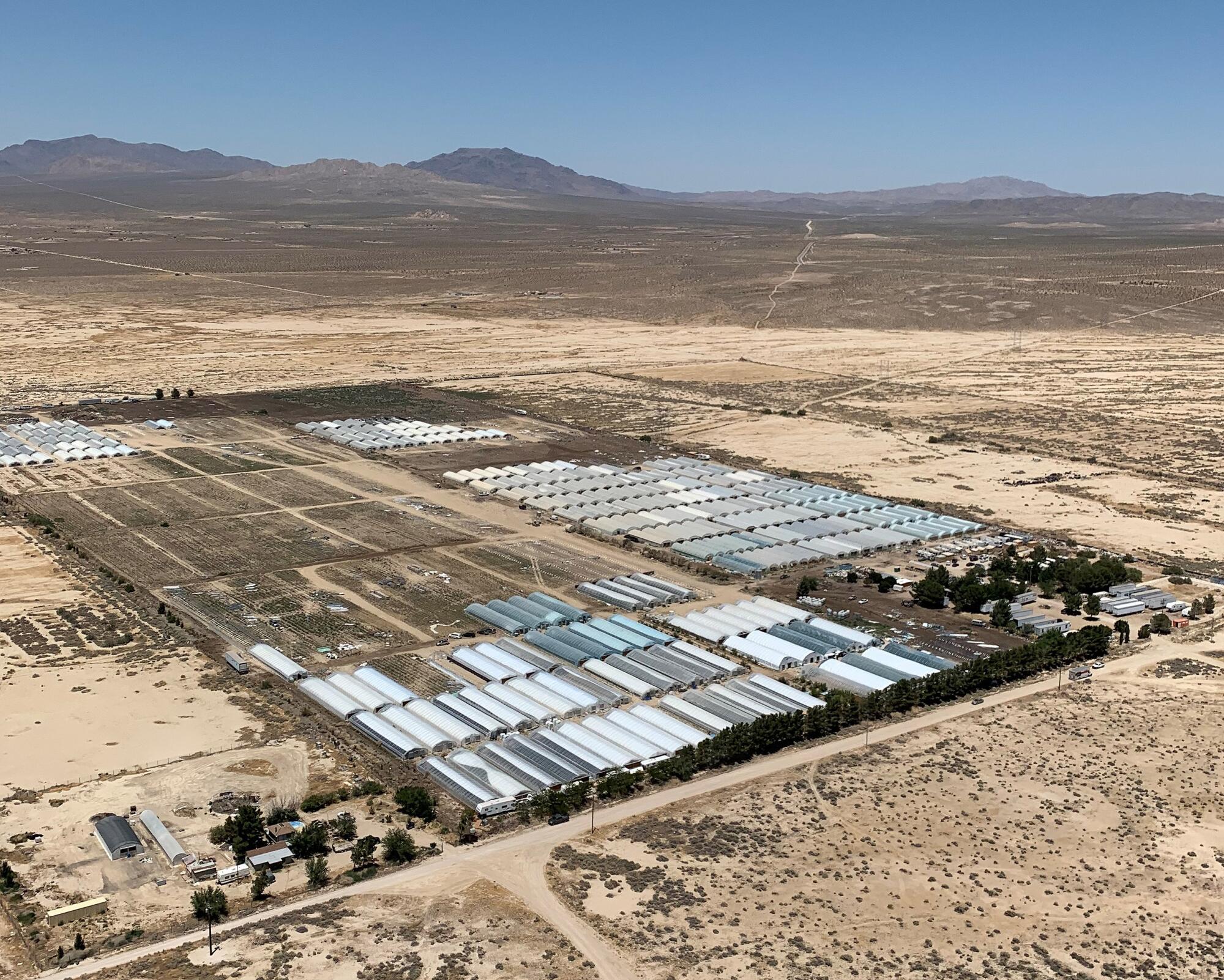 Aerial image of illegal marijuana grow farms discovered in the desert in San Bernardino County.