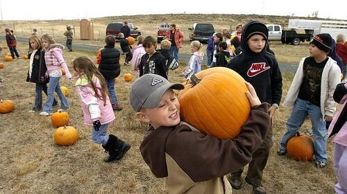 Pumpkin Pickers