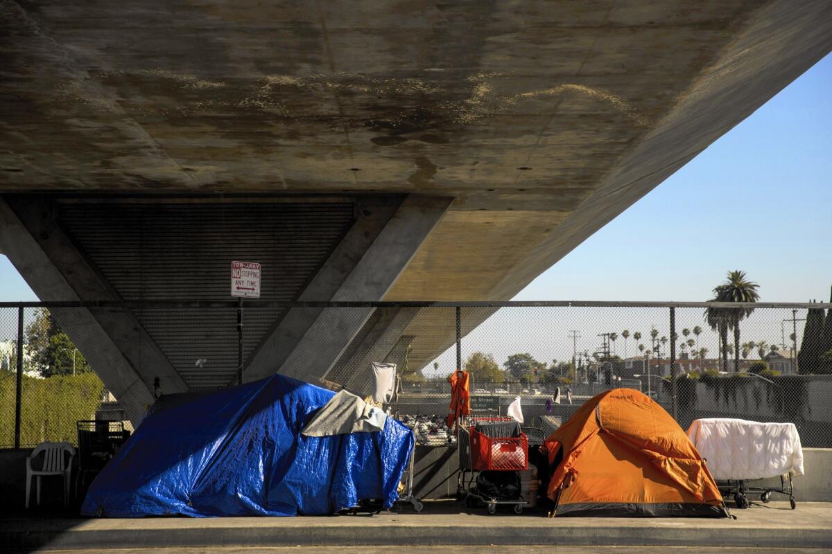 A homeless encampment under the 110 Freeway.