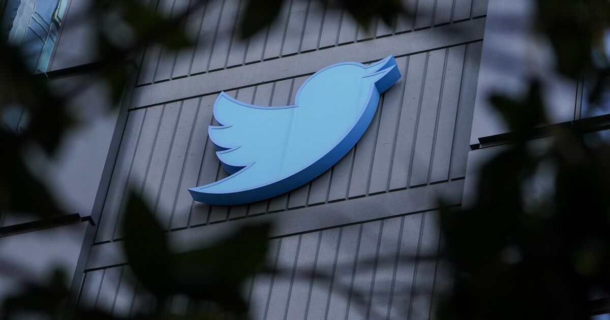 Elon Musk plans to eliminate half of Twitter jobs in cost-cutting drive - Los Angeles Times