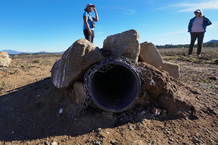  Christina Schaefer and Trish Jones Mondero inspect the entrance of an artificial burrow for owls in the Ramona Grasslands