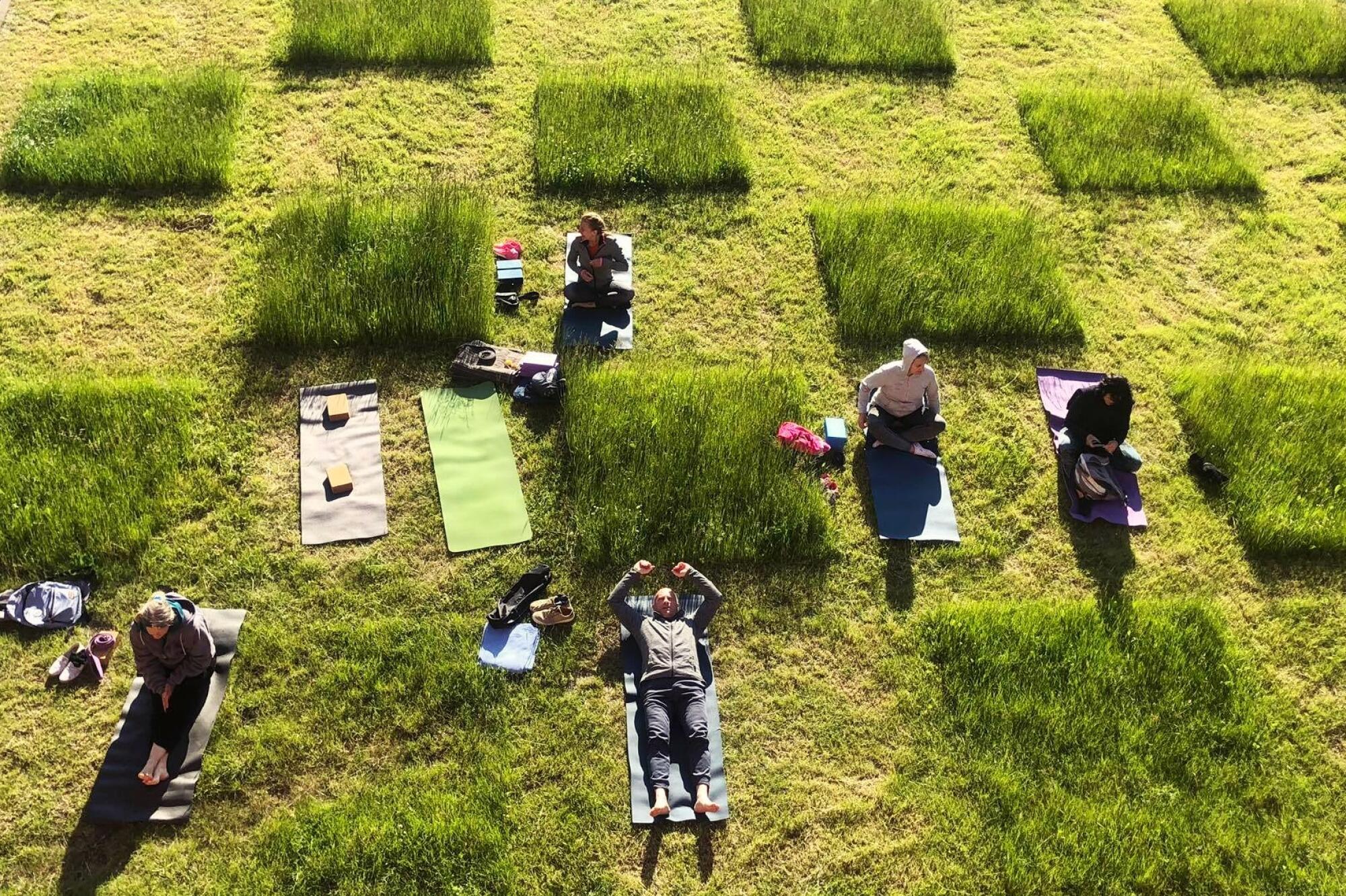 In Elblag, Poland, grass mowed in a checkboard pattern delineated social distancing for those seeking an outdoor reprieve.