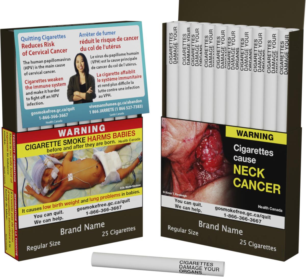 Two packs of cigarettes with graphic images and warnings on them, and a cigarette, foreground, bearing a health warning