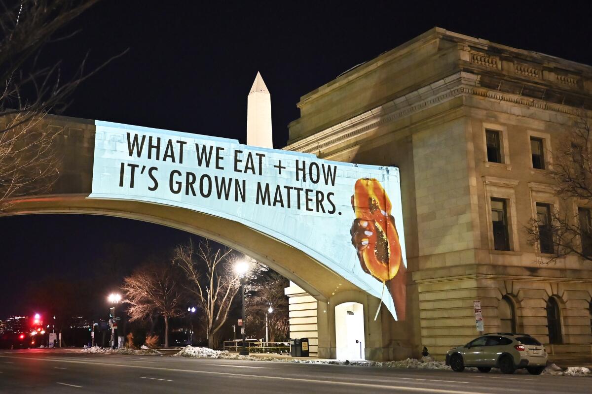 A message about food is projected on an archway attached to a light-colored brick building