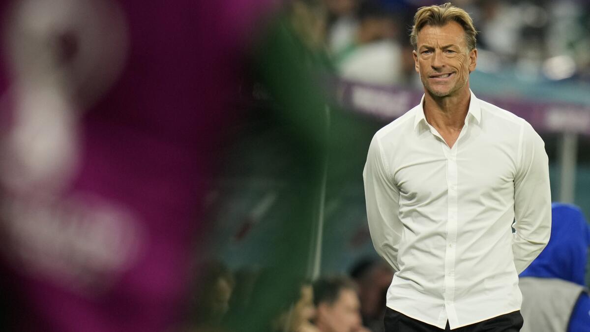 FIFA World Cup: Saudi Arabia Coach Hervé Renard Sorry To Disappoint Mother