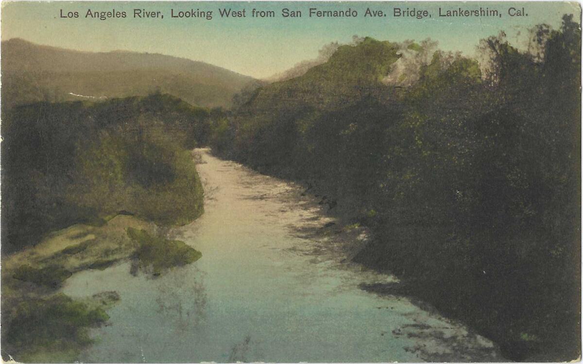 A rural view. "Los Angeles River, Looking West from San Fernando Ave. Bridge, Lankershim, Cal." the card reads.