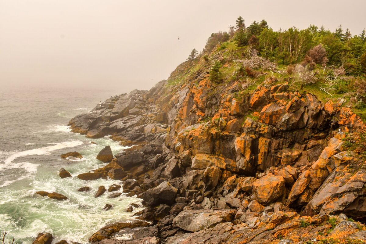 Near Squeaker Cove on a foggy day, Monhegan Island, Maine.