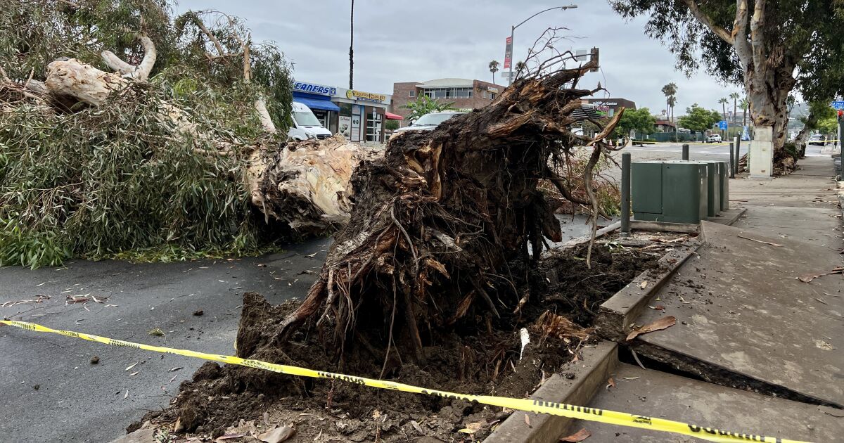 Dégâts limités mais record de précipitations : Retour sur les effets de la tempête tropicale Hilary dans le comté de San Diego