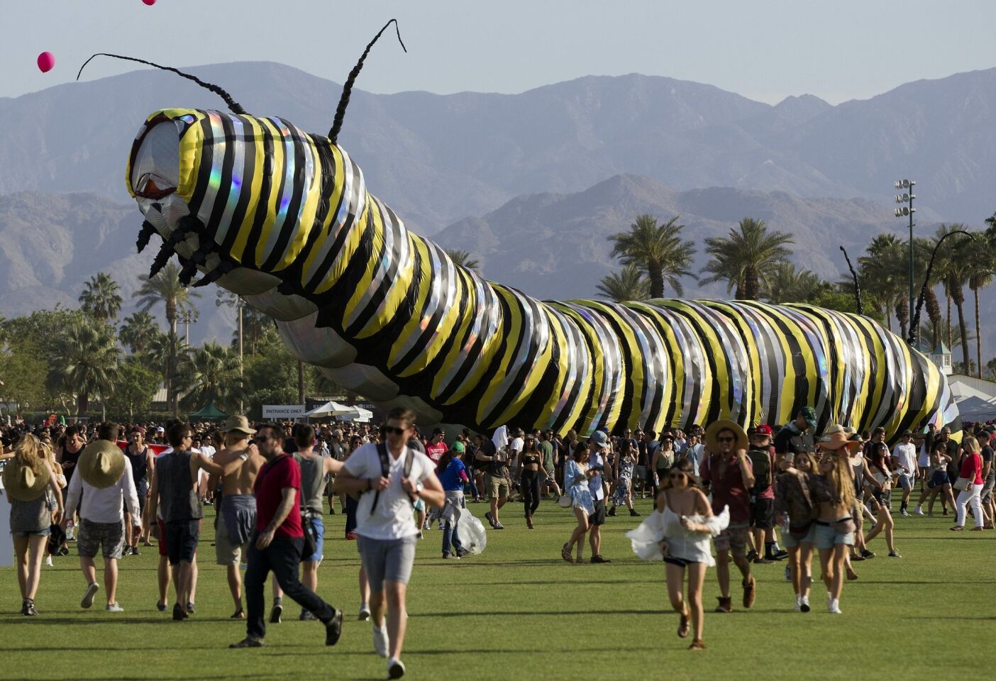 The 2015 Coachella Valley Music and Arts Festival gets underway. A moving Caterpillar named Papilio Merraculous made by Poetic Kinetics makes its way across the festival grounds.