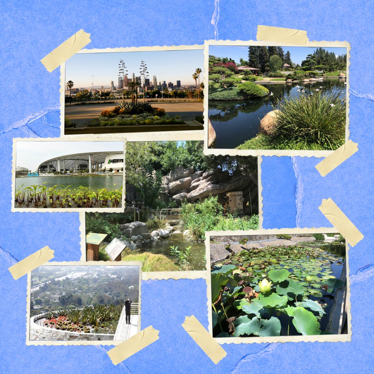 A collage of photos showing places with greenery.