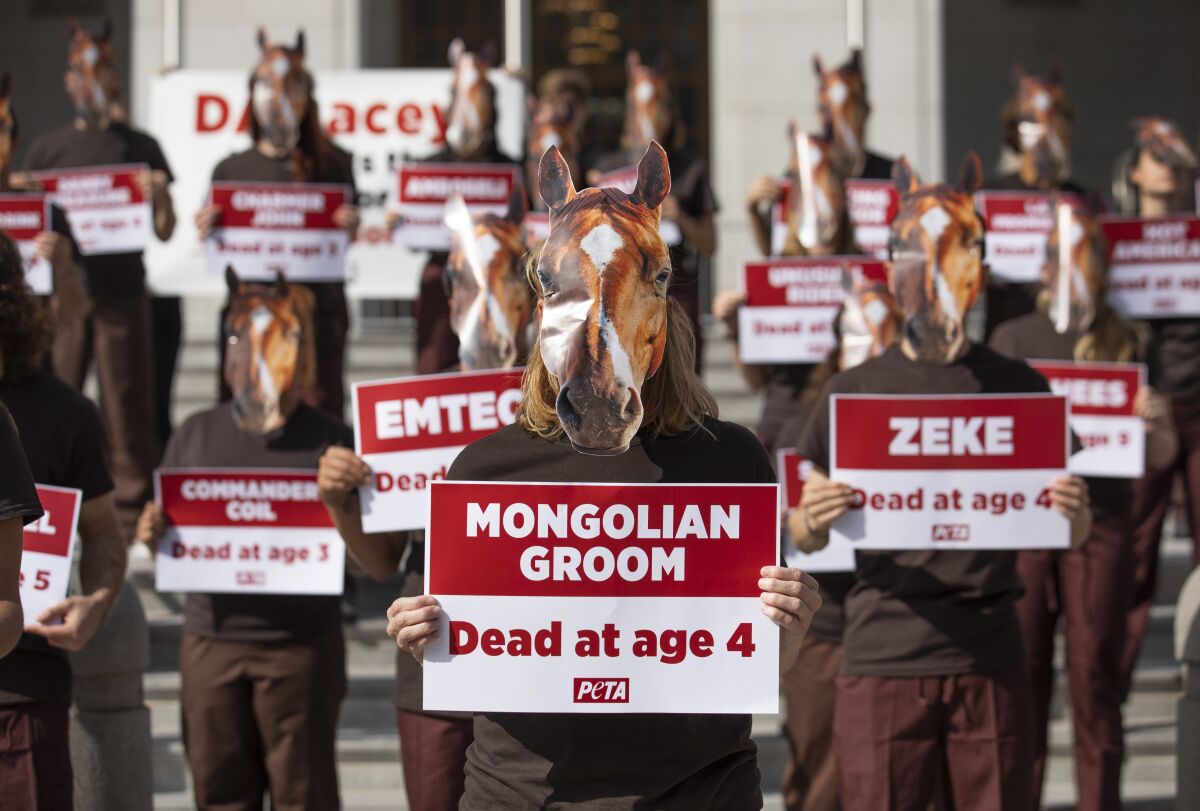 Demonstrators with PETA protest horse racing deaths outside the office of L.A. County Dist. Atty. Jackie Lacey.