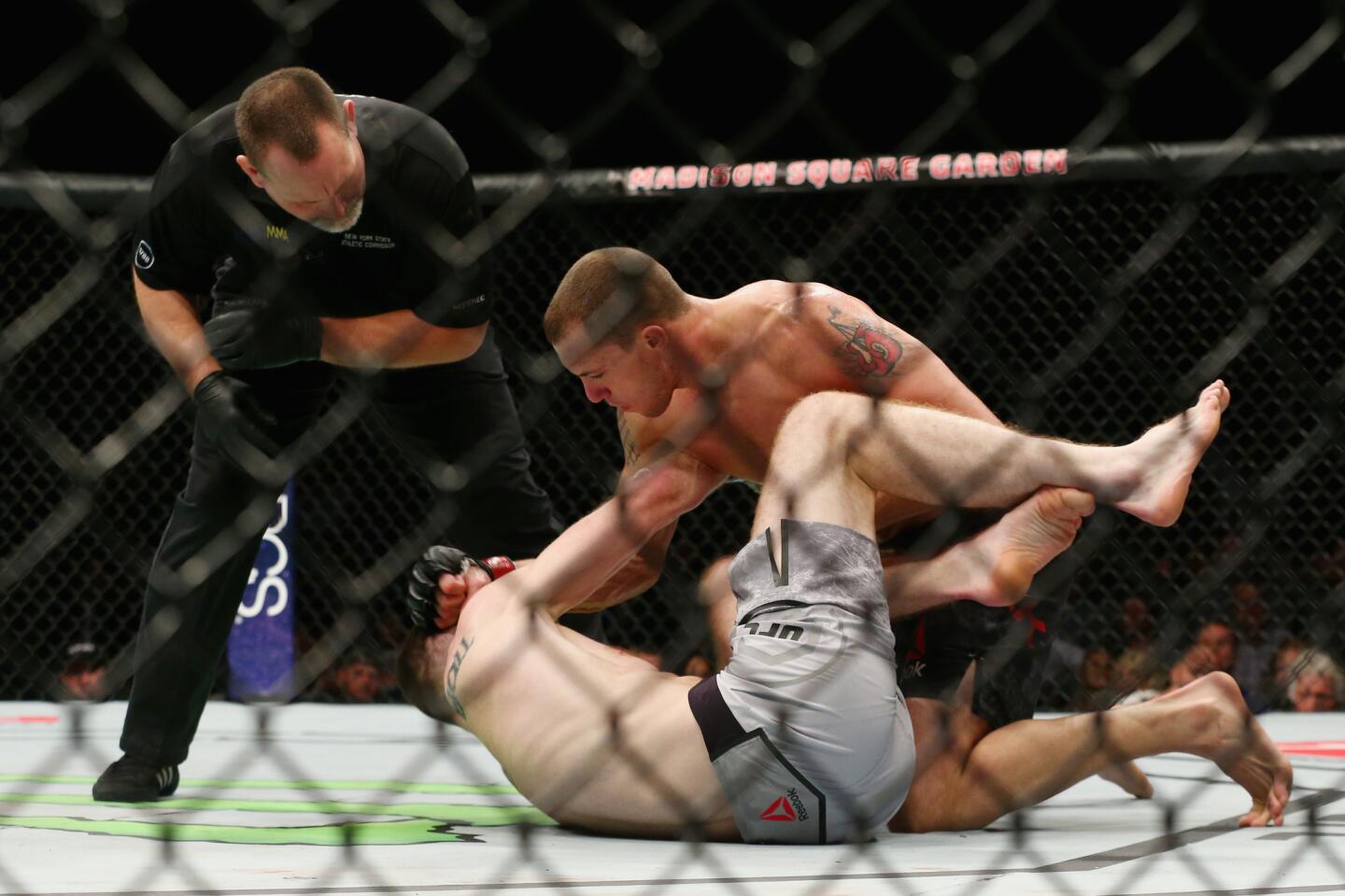 UFC 217: Vick v Duffy