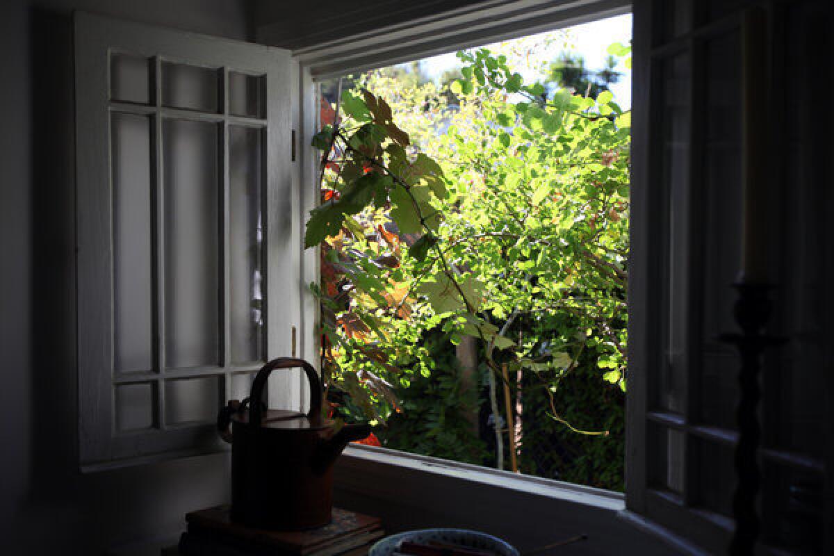 Judy Horton's living room windows look out onto grapevines and other plants, a painting-like composition that makes the house on the other side of the fence practically disappear.