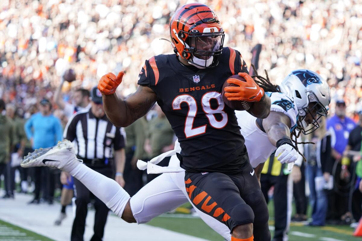 bengals record 2022