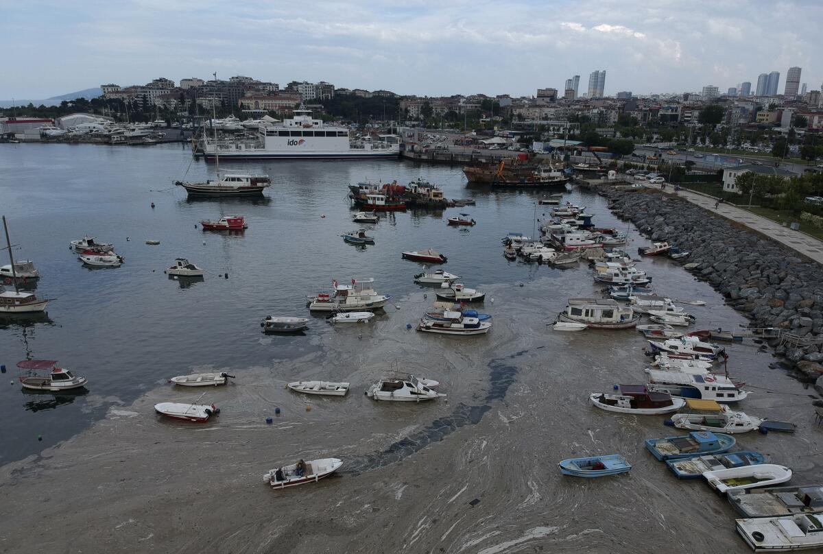 An aerial view of Pendik port of Istanbul with several boats and the skyline