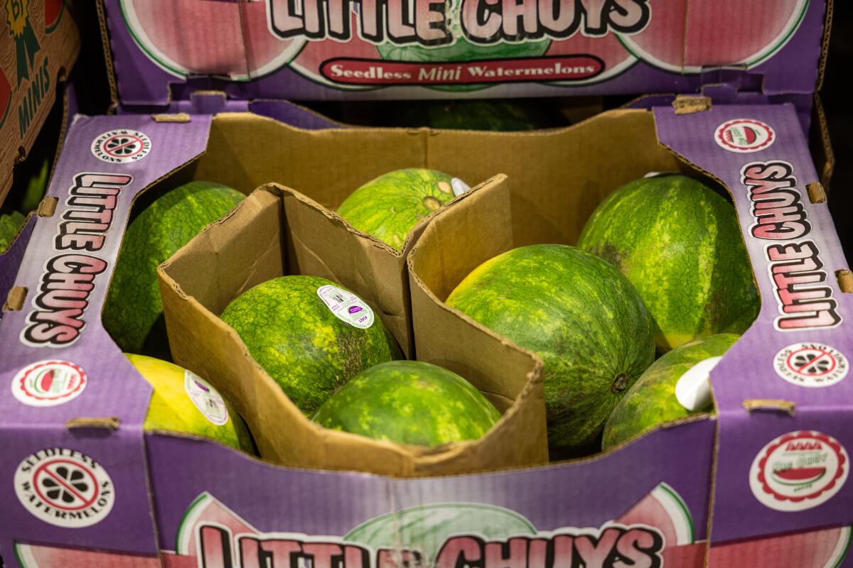 A crate of mini watermelons from Little Chuys