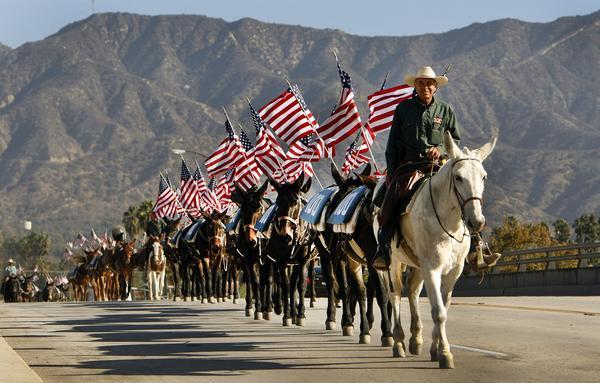 Lee Roeser, a lead wrangler, guides a train of 100 mules as they march west on Western Avenue in Glendale en route to the Los Angeles Equestrian Center in Burbank as part of the 100th anniversary celebration of the Los Angeles Aqueduct.