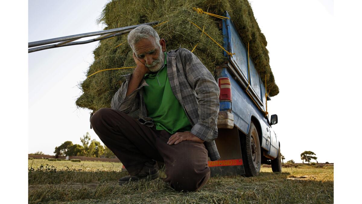 "Ten years ago, I swear, our water was fresh and plenty," said Karim Baluchi as he loaded hay onto a truck in Qiyasabad, Iran.