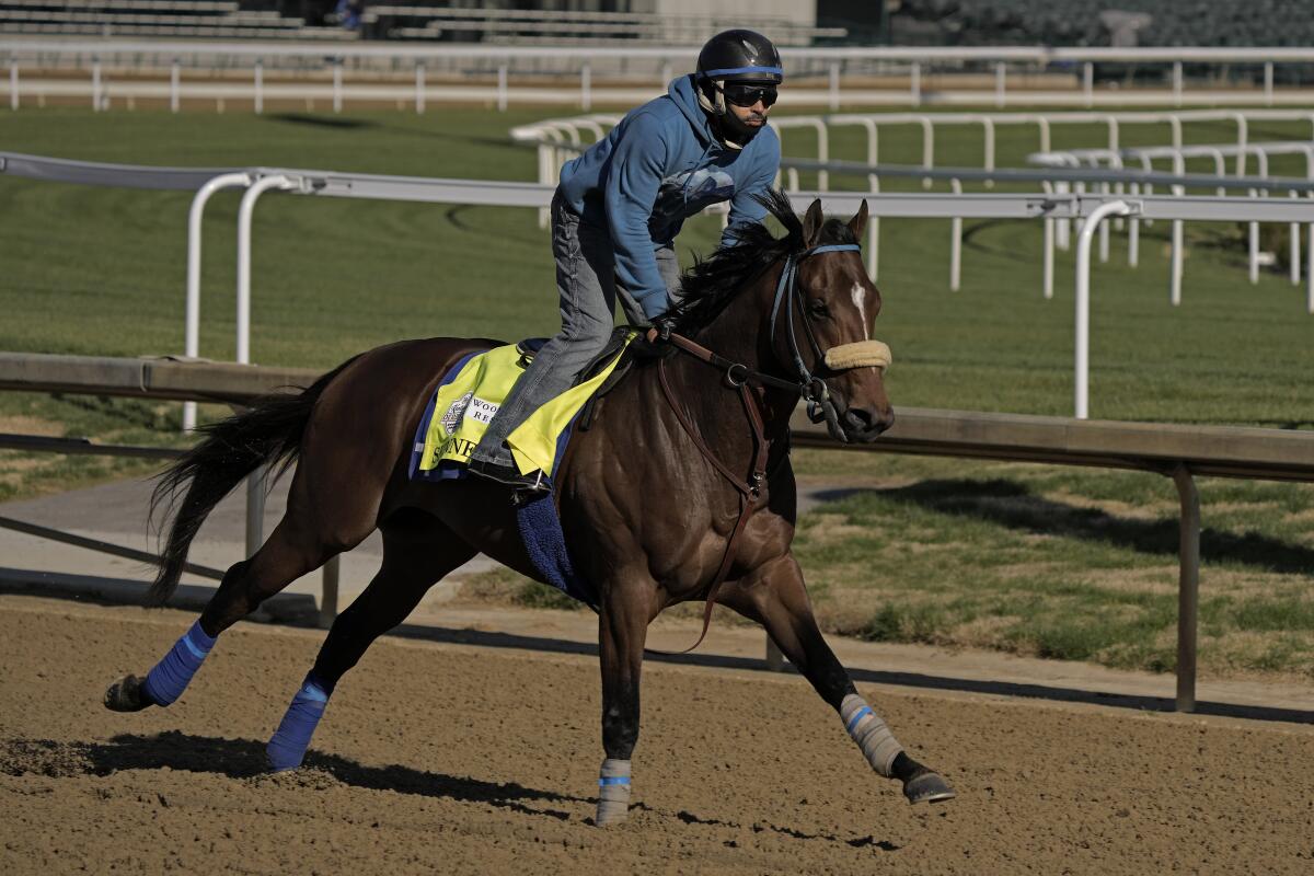 Kentucky Derby entrant Skinner works out Thursday at Churchill Downs.