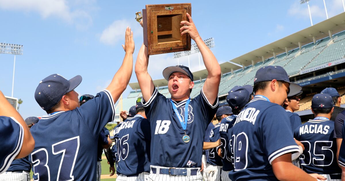 Birmingham defeats Carson for 2023 City Section Open Division baseball title