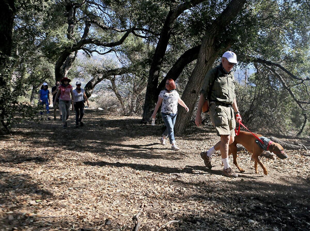 Photo Gallery: Annual mayor's walk, called Walker's Walkabout, draws large crowd