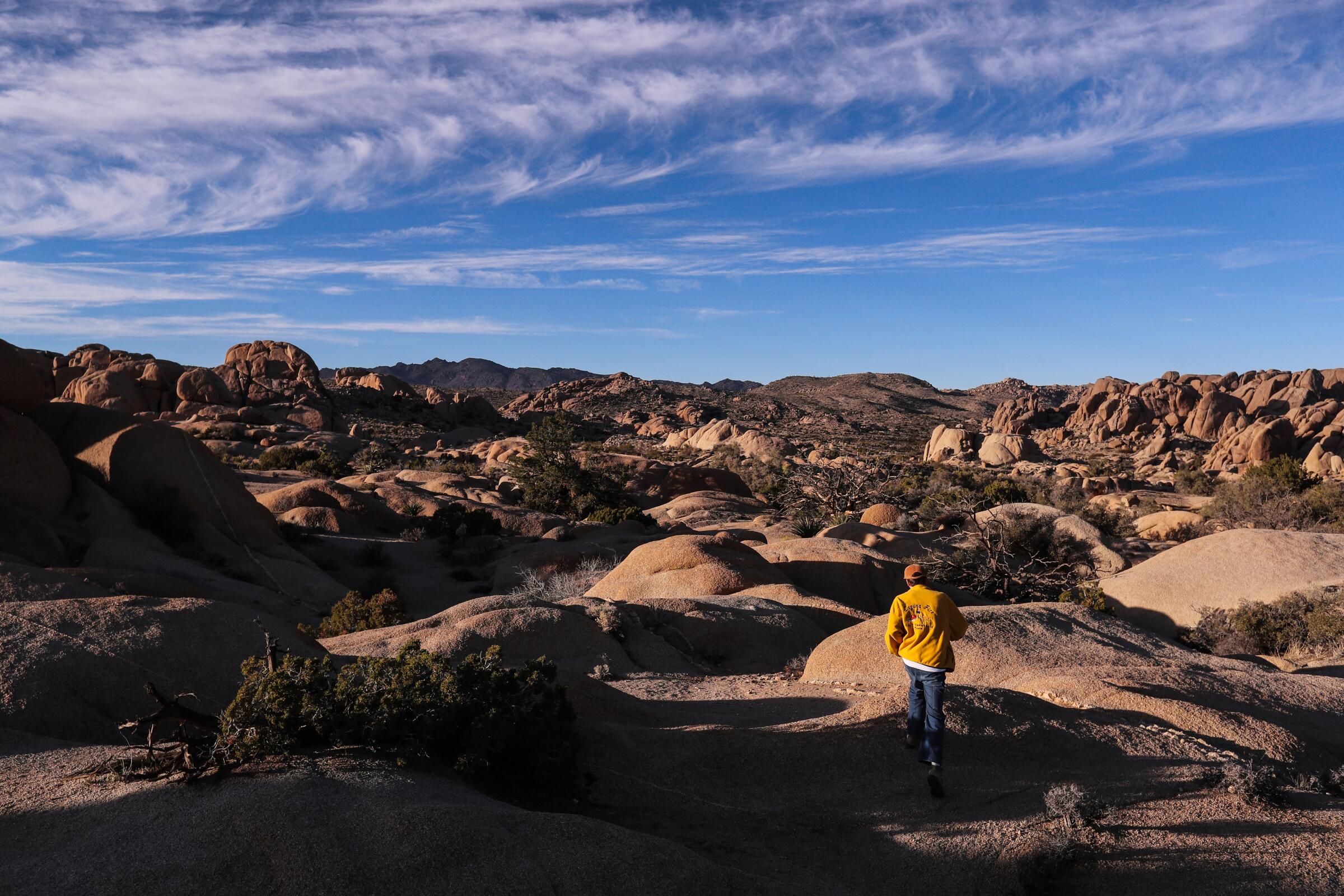 7 gorgeous photos that show Joshua Tree in all its glory - Los