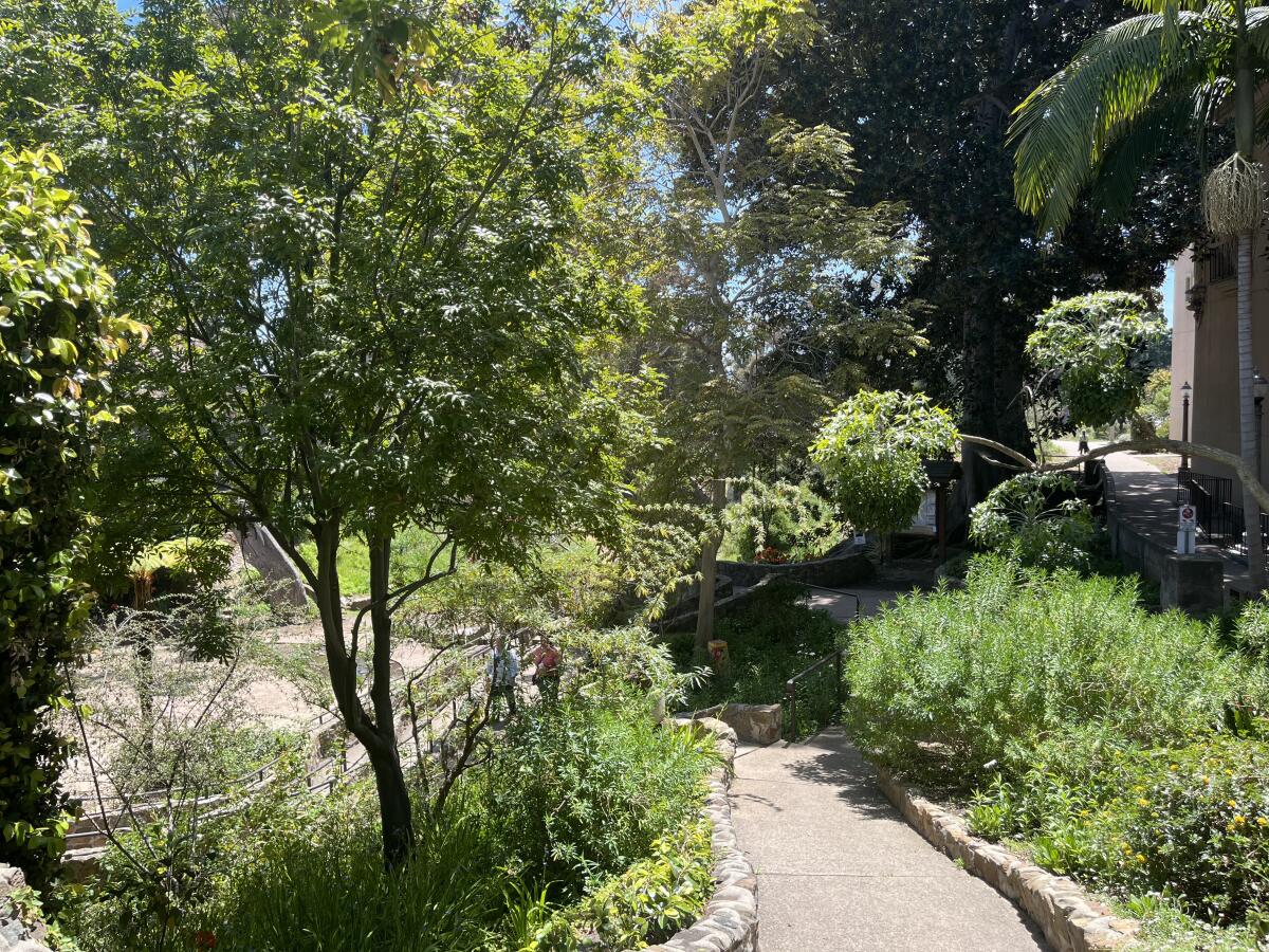 The Zoro Garden, a former nudist colony turned butterfly garden.