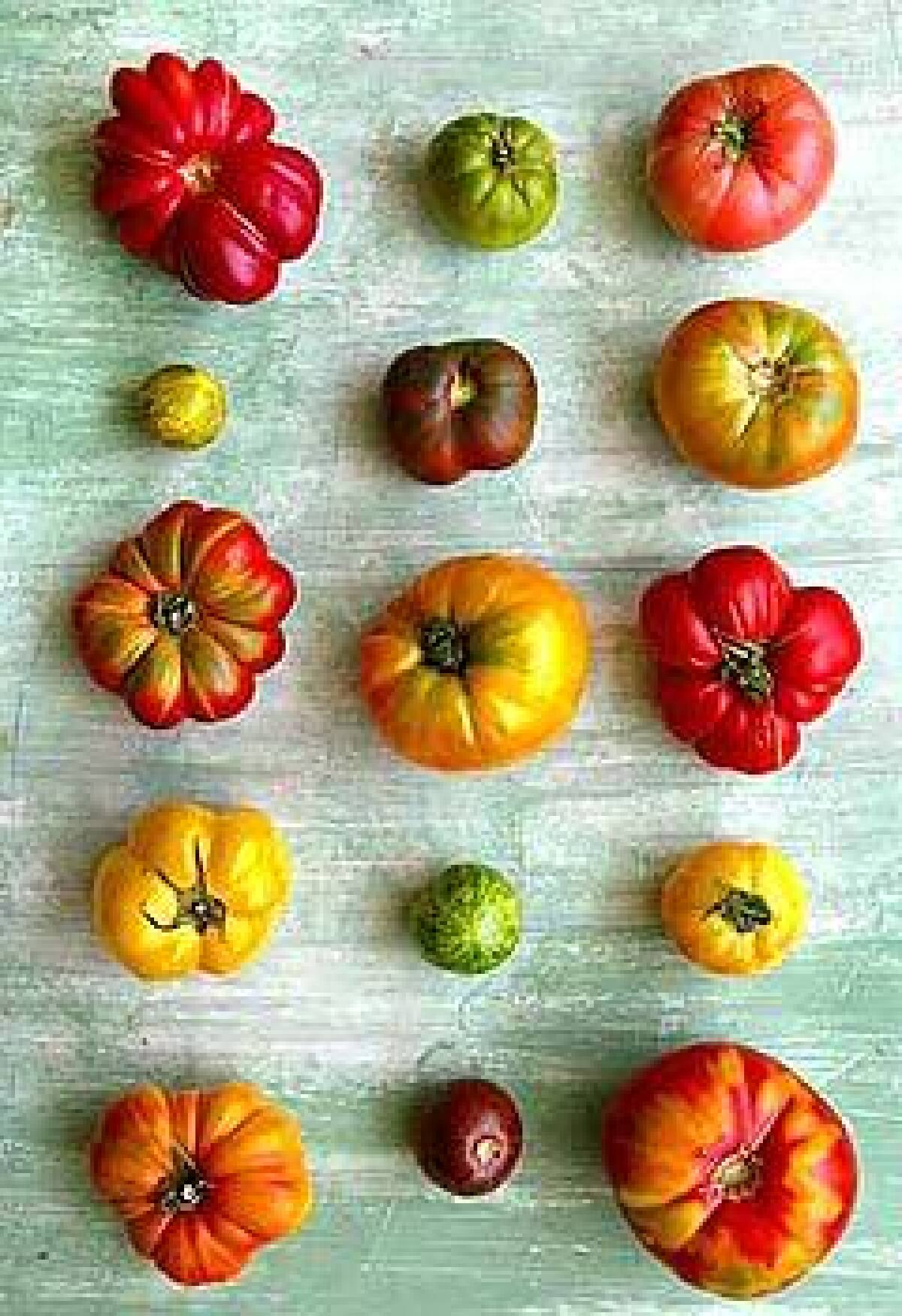 Heirlooms come in unusual shapes and striking colors. Some of the varieties, top row, from left: Costoluto Genovese, Evergreen, Pink Brandywine. Row 2: Green Zebra, Cherokee Purple, Yellow Brandywine. Row 3: Costoluto Genovese, Earl of Edgecomb, Costoluto Genovese. Row 4: Yellow Ruffle, Green Zebra, Yellow Ruffle. Bottom row: Big Rainbow, Black Krim, Brandywine.