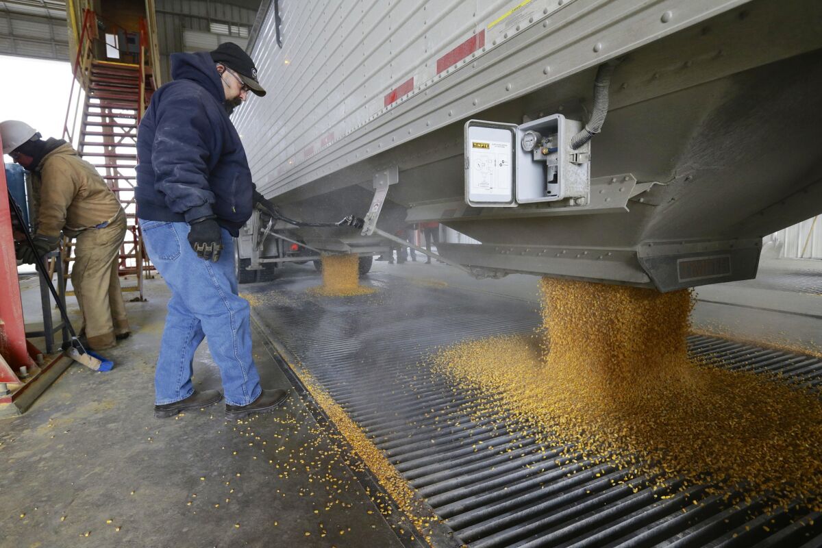 Ethanol, the corn-derived fuel that receives major government support, is no longer out of reach for criticism by presidential candidates stumping in Iowa. Here, corn is delivered to an ethanol plant in Shenandoah, Iowa.