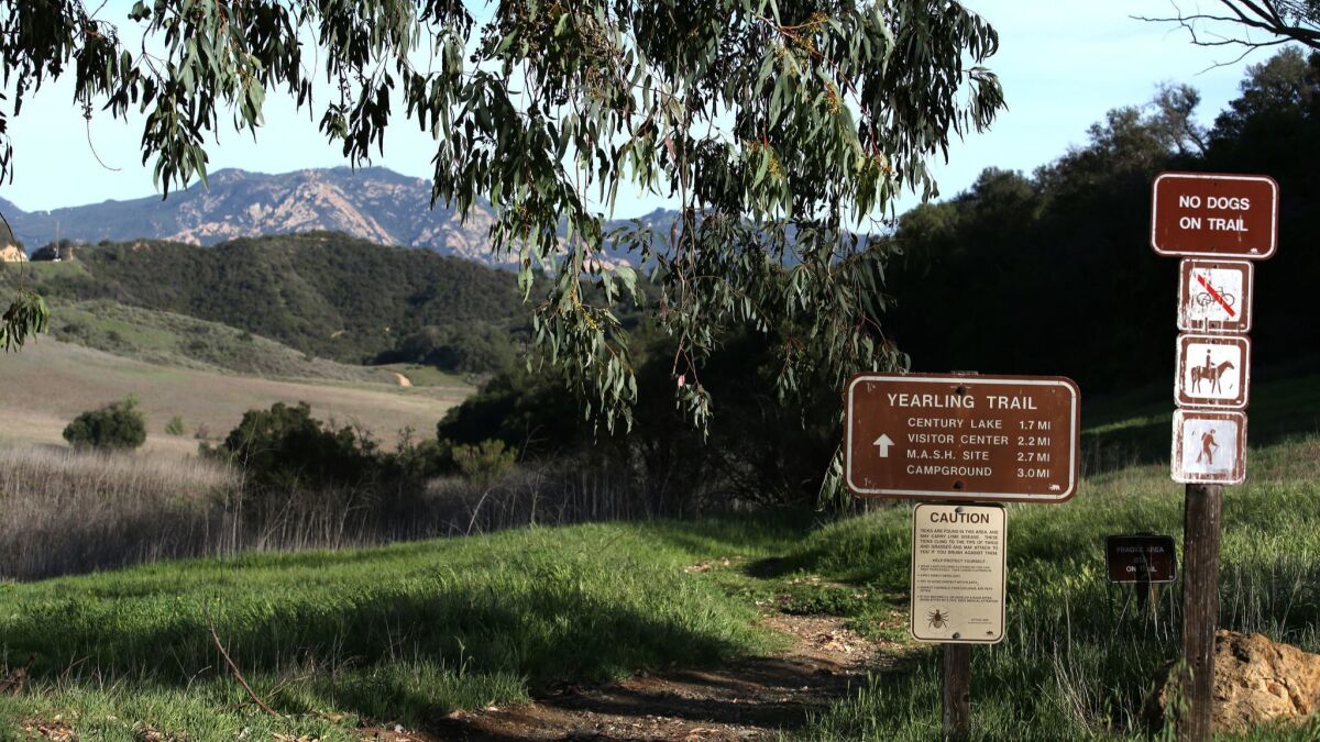 Shown is the start of the Yearling Trail at Malibu Creek State Park in Calabasas.